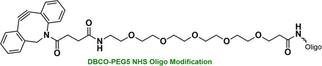Bio-Synthesis Inc. Oligo Structure